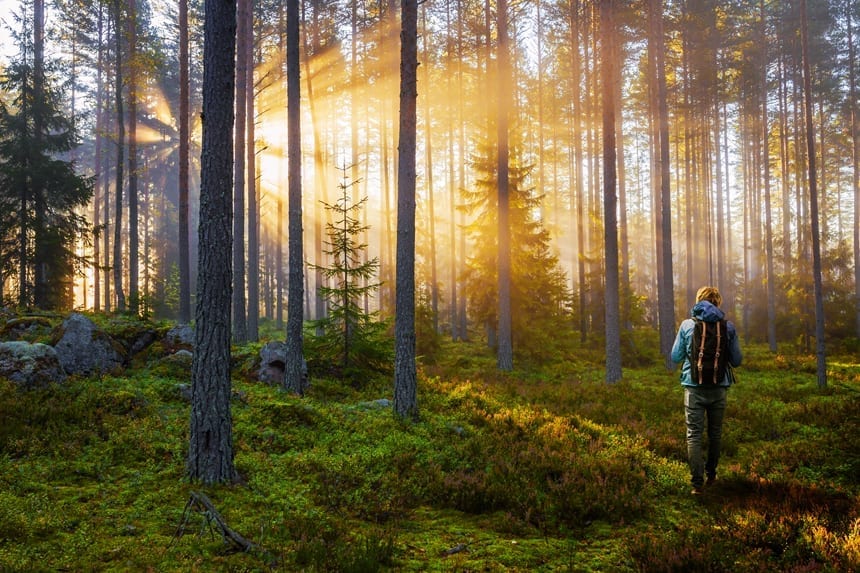 walking-in-the-woods-860