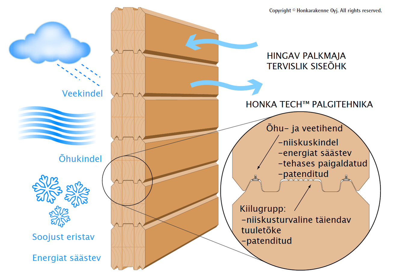 honka_tervislik