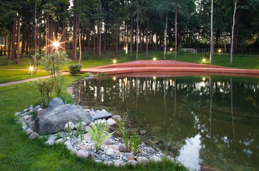 honkanova-pond