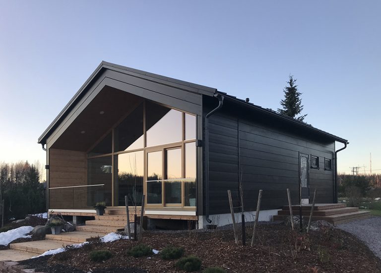 Modernit-hirsitalot-vista-ext2