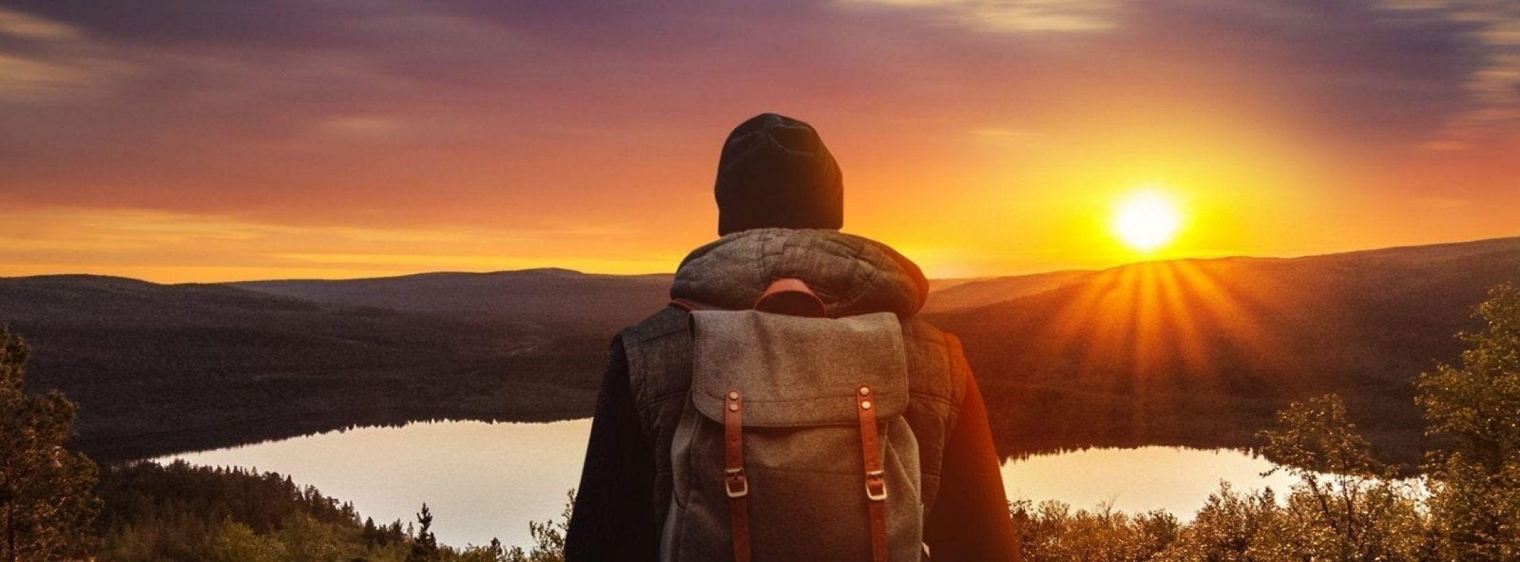 Miks valida honka palkmaja?